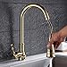 Produktbild JRUIA Ausziehbare Küchenarmatur-Spültischarmatur 360°Schwenkbarer Küche Wasserhahn mit Herausziehbarer Geschirrbrause Einhebel Mischbatterie Spüle Armatur aus Messing (Gold)