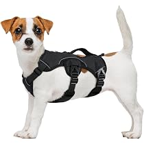 Rabbitgoo Hundegeschirr Mit Griff – Ausbruchsicher, Reflektierend & Verstellbar