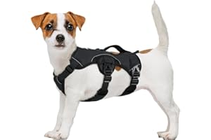 rabbitgoo Escape-Proof Dog Harness Small Dog with Handle, Anti-Pull Reflective Working Service Pets Vest, Breathable Pets Vest, Adjustable Lift Support Body Harness Outdoor, S, Black