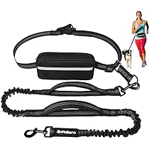 Hands Free Hondenriem Voor Hardlopen Wandelen, Hondenriem Met Verstelbare Bungee Taille En Buidel Voor Middelgrote Honden (Color : Green