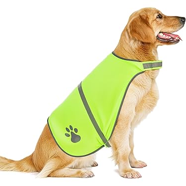 Geel Reflecterend Veiligheidsvest Voor Mensen, Geïsoleerd Op Witte Achtergrond Vector