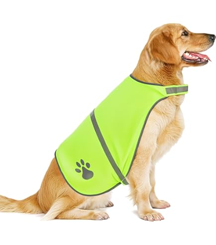 Koelvest voor honden, middelgrote en grote honden, koelvest, voor buitenactiviteiten, wandelen, training, zonnesteek bij honden voorkomen, roze, maat M