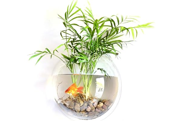 Hylotele Mural Bocal à Poissons Boule, Décoration de la Maison Goldfish Bowl Créatif Acrylique Suspendu Aquariums Plante Pot Réservoirs de Poissons Vase À Fleur