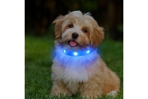 PcEoTllar Obroża dla psa LED dla małych psów szczeniak zapalona obroża dla psa ładowalna migająca obroża dla psa regulowana z 3 trybami super jasna - niebieska