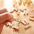 Nisco 20 PCS Mini Wooden Clips, Multi-Function Cloth pins Photo Paper Peg Pin Craft Clips for Home School Arts Crafts Decor, Size: 2.5 cm