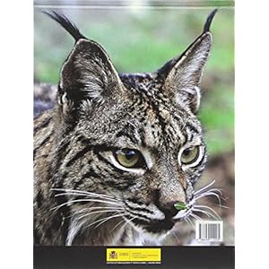 Lynx: en la tierra del lince ibérico