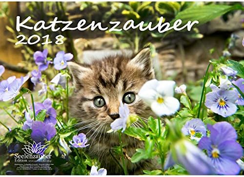 Premium Calendar 2018; DIN A3; Cat Magic; Cat Greeting Card – Christmas Card Edition and Soul Magic – Gift Set of 4