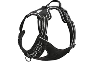 Truelove Dog Harness TLH5651 No-pull Reflective Stitching Ensure Night Visibility, Outdoor Adventure Big Dog Harness Perfect Match Puppy Vest (Black,S)
