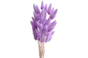 Pampasgras Getrocknet Trockenblumen, FENGCHUANG-Pampasgras Deko, 45cm 50 Stück Getrocknete Natürliche Pampasgras Pflanzen Flauschige Trockenblumen (Helles Lila)