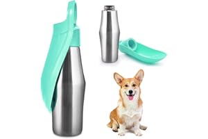 BORDEAG Gourde pour chien - 750 ml - En acier inoxydable - Pliable à 180° - Bouteille d'eau portable pour chien - Pour la marche, les parcs, le camping - Verte, A
