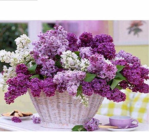 EHUPLUE 5D Diamond Painting Set Purple Flowers Bundle Art Patterns Full Square Dimand DIY Arts Craft Paint-By-Number Kits Adults' Children's Painting Tool Cross Stitch for Home,Office&amp;Decoration