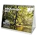 Produktbild Waldzauber · DIN A5 · Premium Tischkalender/Kalender 2019 · Wald · Bäume · Baum · Edition Seelenzauber