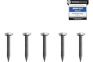 RIKAMA ONLINEVERSAND AUS EINER HAND Lot de 30 clous pour tableau, 20 mm de long, acier pour béton, brique, plâtre et bois, clous trempés pour suspension d'images, fabriqués en Europe
