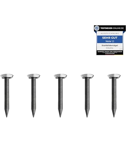 Dewalt DCN8901025 Clous Galvanisés 25 X 2.6 Mm Pour DCN890 Pince à Béton 1005 Clous