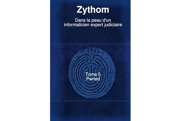 Dans la peau d'un informaticien expert judiciaire T5