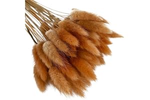 Herbe de queue de lapin séchée 50 pièces,URMAGIC 45cm Lagurus Ovatus séché naturel, arrangements de fleurs d'herbe de pampa, bouquet de fleurs de mariage, fleurs séchées de queue de lapin