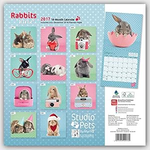 Rabbits Rule - Kaninchen 2017 - 18-Monatskalender: Original Myrna-Kalender [Mehrsprachig] [Kalender]