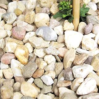 Suchergebnis auf Amazon.de für: kies: Garten