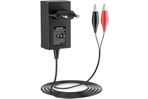 NASTIMA Cargador 7,3V 1000mA LiFePO4 para Baterías LiFePO4 de 6V 4Ah/4,5Ah/6Ah/7Ah/12Ah, con Protección contra Cortocircuitos, Sobrecorriente y Sobretensión, y luz Indicadora de Carga