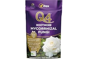CAPRICAN Q4 Rootmore, Mycorrhizal Fungi, Stimulates Root Growth, Suitable For Flowers, Shrubs And Edibles, Organic - 250G (250 g)