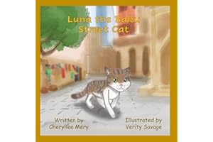 Luna The Baku Street Cat