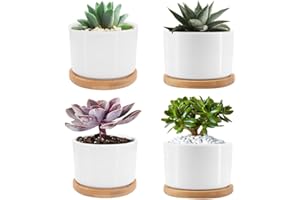 Seahelms 7,5 cm doniczka na sukulenty, minimalistyczny design, okrągła mała doniczka z bambusową tacą i otworem drenażowym, biała ceramiczna donica na kaktusy, idealna do dekoracji biura domowego,
