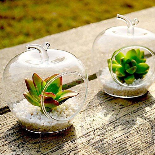 Klar Apfel Förmige Glas Hängen Vase Flasche für Pflanze Blume Schmuck - 2