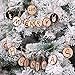Produktbild 10 Holz Scheiben 6cm DIY Handwerk Weihnachtsschmuck und Home Hanging Dekorationen Perfekt zur Dekoration Hochzeit Untersetzer Basteln Bearbeitung Handwerk (10Pcs)
