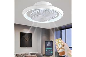 Qiaomao Plafonnier Ventilateur Silencieux 360° Rotation Blanc 49cm avec Télécommande/APP, Reversible Dimmable Timer Ventilateur de Plafond avec Lumiere, Luminaire Ventilateur Plafonnier 6 Vitesses 72w