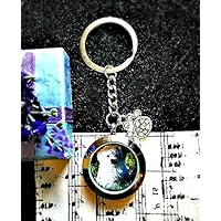 Haustier Verlust Medallion Schlüsselring - Katze Hund Haustier Denkmal Für Asche Foto Kondolenz-Andenken Erinnerung Urne Sympathie Gedenkfeier