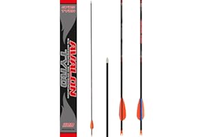 Tyro Avalon Carbon Shaft Target Archery Arrows With Vanes Nocks and Points Installed x 6