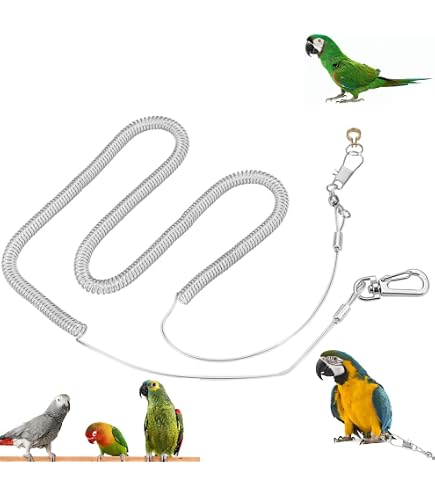 300 Pcs Anneau De Pied Pigeon Anneaux Patte D'oiseau Bandes Jambe