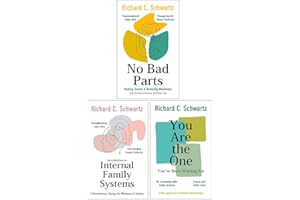 Richard Schwartz Collection 3 Books Set (No Bad Parts, Introduction to Internal Family Systems & You Are the One You’ve Been Waiting For)