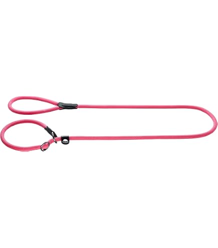 Buckle-Down Hundeleine – Dalmatiner Design Mit Pfotenabdruck, 1,2 M Lang & 1,2 Cm Breit