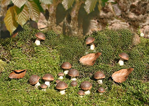 Deko-Steinpilz, 15er Set - 2