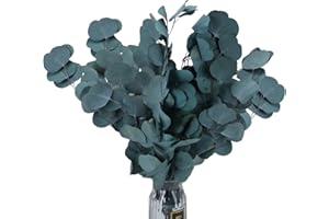 RADCANE Flores Secas Naturales Ramas Eucalipto Preservado Ramas Secas Decorativas Hojas Secas Planta Natural Ramo de Flores para Jarrones Interiro Hogar Bodas Fotografía DIY Flores Secas Decoracion