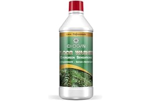 BRILHOME CHOGAN Detergente Lava Pavimenti Senza risciacquo Scegli LA Tua PROFUMAZIONE (750) ML (Evergreen Sensations)