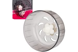 HEEPDD Rueda de Ejercicio para Hámster, Plástico Transparente, 13 cm, Diseño Aerodinámico, para Mascotas Pequeñas
