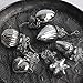 Produktbild Exner Anhänger Antik 6-er-Set Bauernsilber Silber Vintage Christbaumschmuck Weihnachten Deko Baumschmuck Hänger