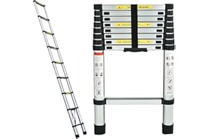 LUCN Teleskopleiter, 2,6 m, Metall, leicht, mit Verriegelungsmechanismus und rutschfesten Füßen, Mehrzweck-Klappleiter, 150 kg Kapazität