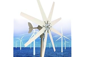 TINGBBAO Generador de turbina eólica,Aerogenerador Horizontal Kit 20000W 12V 24V 48V 110V 220V con 8 aspas, pequeña turbina eólica for uso doméstico, RV, yate, bajo ruido,Generador de energía eólica(220V)