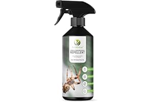 EcoWidow Spider Repellent Spray - Natural Peppermint Oil Insect & Cobweb Remover for Home, Humane Formula, 500ml