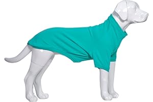 Lovelonglong Dog Pullover Sweatshirt Autumn Winter Cold Weather Dog T-Shirts for Small Medium Large Size Dogs Husky Clothes Turquoise XXL