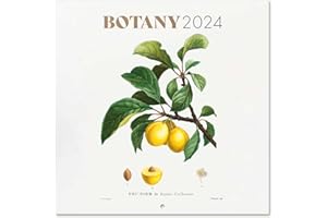 Grupo Erik: Calendario 2024 da Muro Botanica, 12 mesi + 4 in omaggio, 30x30cm FSC®, ideale come Calendario 2024 da parete, Calendario ufficio 2024, Calendario casa 2024