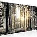 Produktbild Bilder Wald Landschaft Wandbild 150 x 60 cm Vlies - Leinwand Bild XXL Format Wandbilder Wohnzimmer Wohnung Deko Kunstdrucke Braun 5 Teilig - MADE IN GERMANY - Fertig zum Aufhängen 503856a