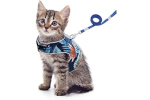 Feimax Pettorina per Gatti con Guinzaglio, a Prova di Fuga, Regolabile, Imbottito in Morbida Rete Traspirante, Imbracatura Riflettente per Passeggio per Gatto Piccolo e Medio