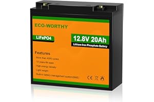 ECO-WORTHY Batterie Lithium 12V 20 AH LiFePO4 avec Protection BMS et Max. 15 000 Cycles, 256Wh Batterie pour Bateau, Camping-Car，pêche，RV