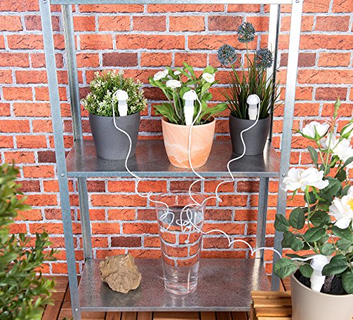 Royal Gardineer Topfpflanzen-Bewässerungs-System mit Tonspitze und Schlauch, 5er-Set - 4