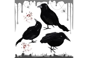 HBSFBH 3 Pezzi Corvi di Halloween, Decorazione Halloween Corvo, Corvo Nero di Halloween, Corvi Piumati Artificiali, Halloween Corvi Decorazione, Decorazioni Realistiche di Corvo, per Festa di Halloween