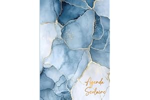 Agenda Scolaire 2025-2026: Planificateur Journalier 2 Jours par Page - Pour Étudiants Collège, Lycée | Couverture marbrée aux nuances de bleu foncé, gris clair avec Veine Dorée